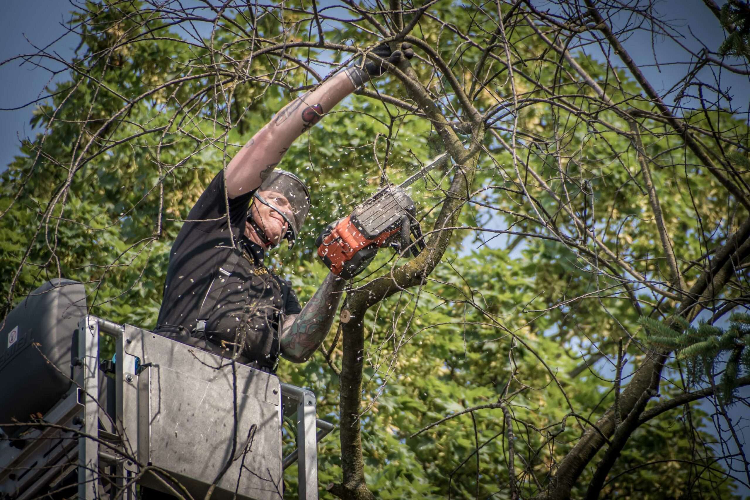 ropeworx Hamburg - Höhenarbeiten GmbH